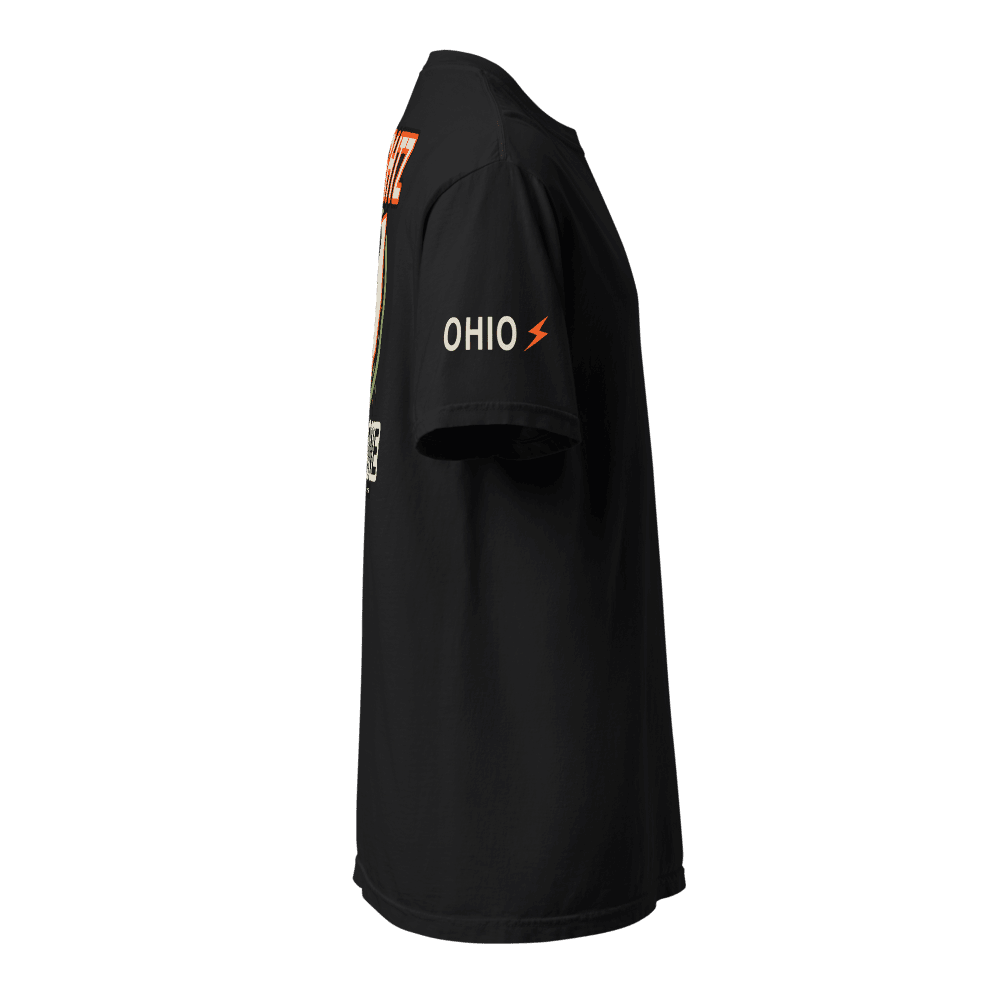Ohio State One garment-dyed heavyweight t-shirt, Black, picture 7 of 8