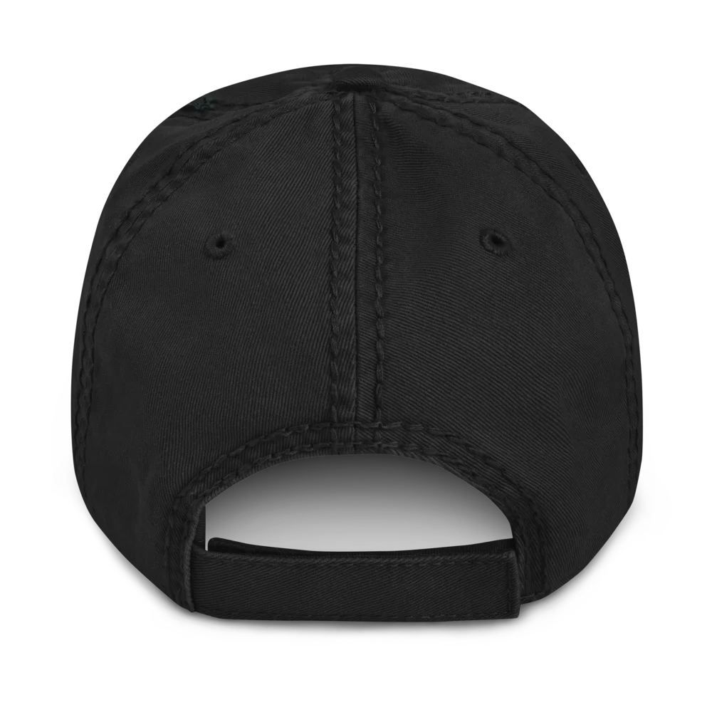 Know The Law Distressed Dad Hat, Black, picture 2 of 4
